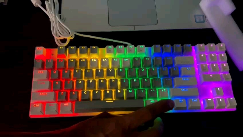 87 Key Wired RGB Mechanical Gaming Keyboard With Blue Switch | Compact Key 80% Mechanical | Color White And Grey/Black