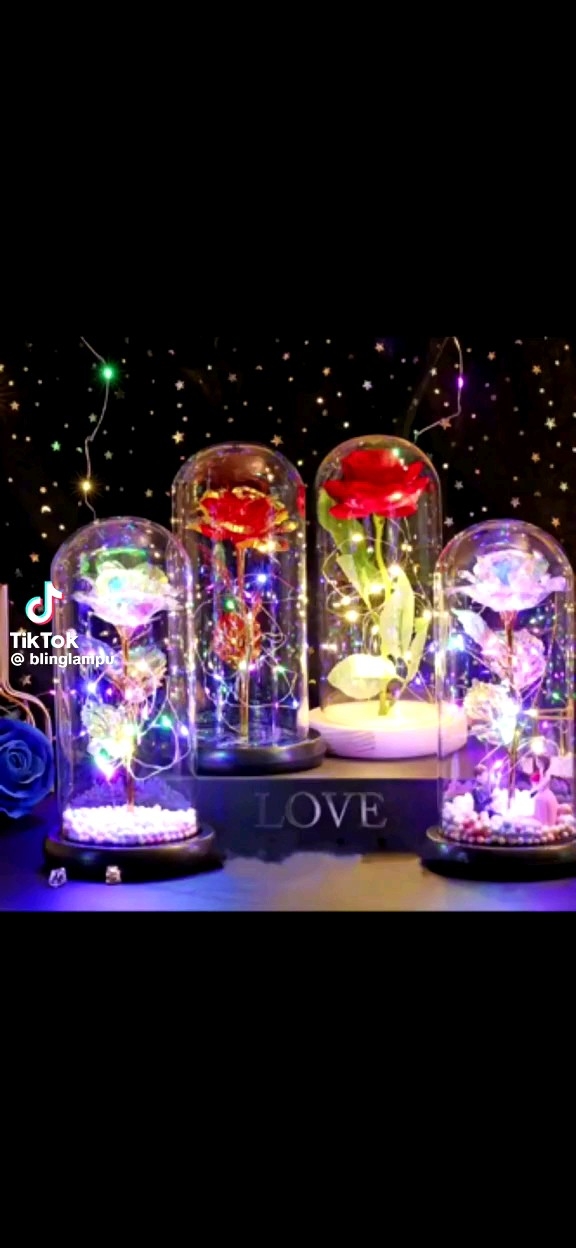 FLORECORD Beauty and The Beast Rose Gift Enchanted Colorful Led Flower Galaxy Rose Light in Glass Dome, Unique Crystal Gifts for , Valentine's Day, Mother's Day, Anniversary, Girl’s Birthday