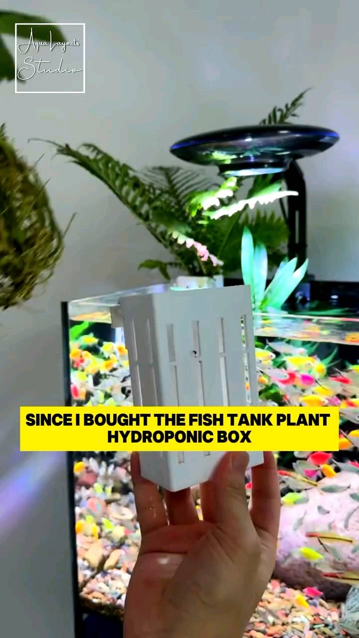 Aquarium Plant Holder Box Plant Basket Hanging Planter Growing Planter (White Colour)