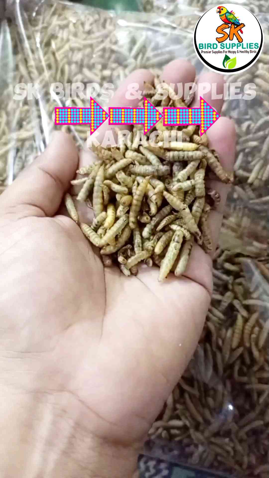 Dried BSF LARVA WORMS (1Kg) Dry Worms Dried BSF Larvae Black Soldier Fly Larvae for Chicken, Bird, Fish, Poultry Etc