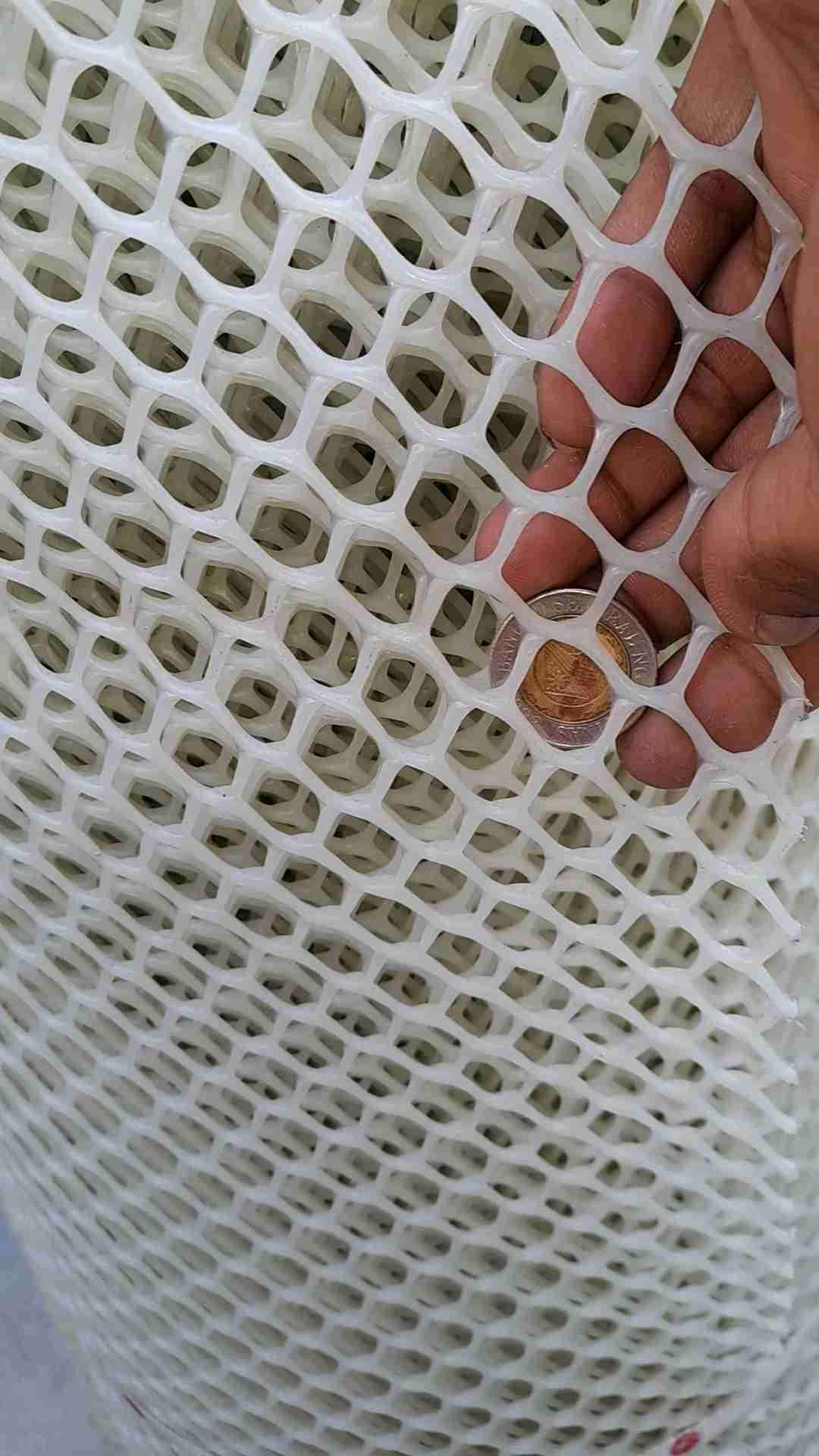 Computer Screen Net White Plastic Screen Net 1/2 Mesh - 4ft x 1m long | Lazada PH