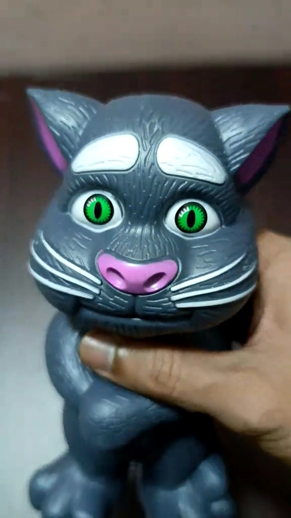 🎤 TalkyTunes Tom – The Interactive Learning Cat 🐾 | Daraz.pk