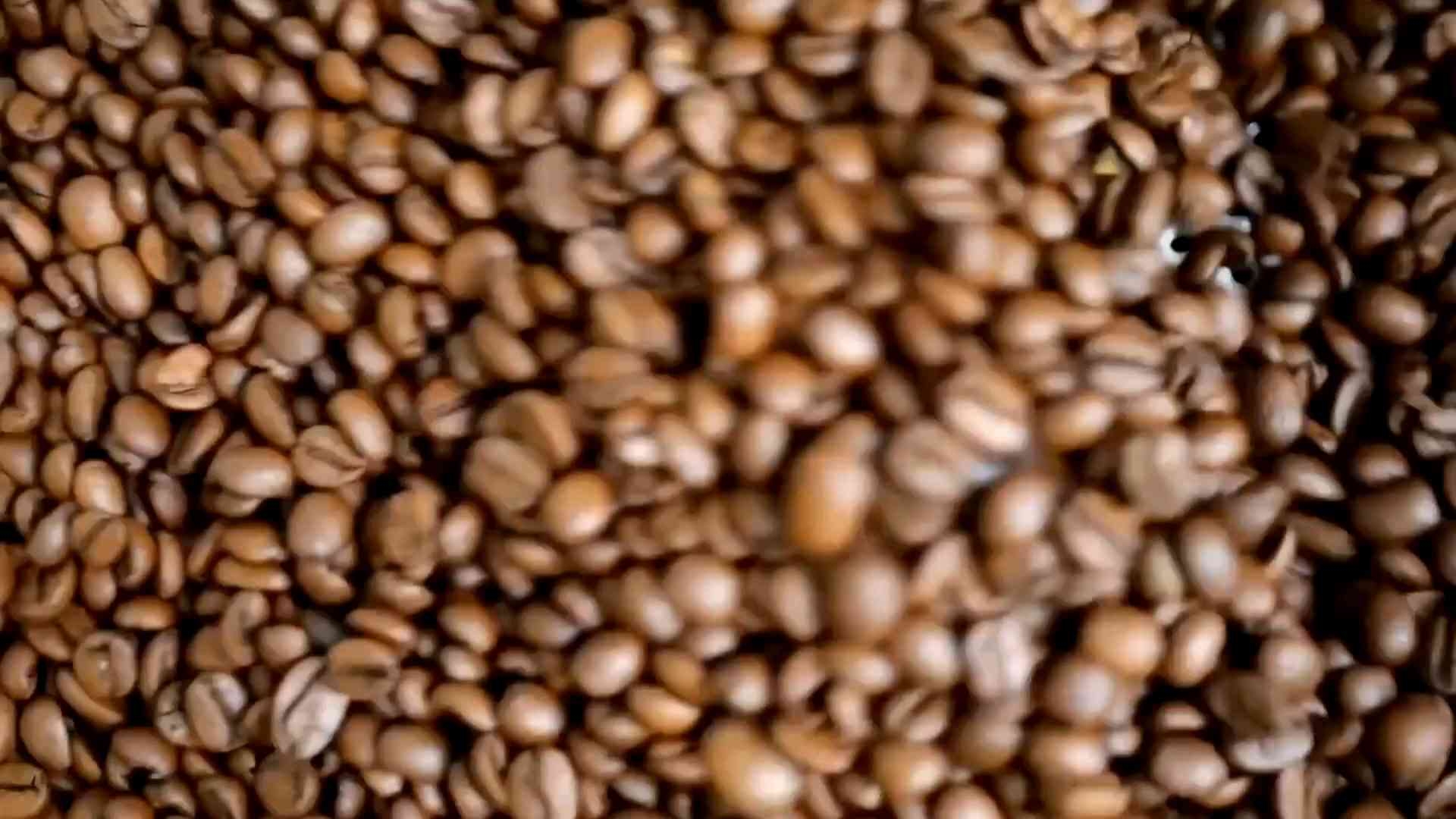 Java Robusta Coffee Beans 250g / 500g / 1kg | Strong Aroma | Fresh ...